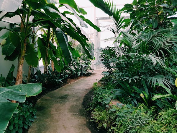 Garden & Landscaping